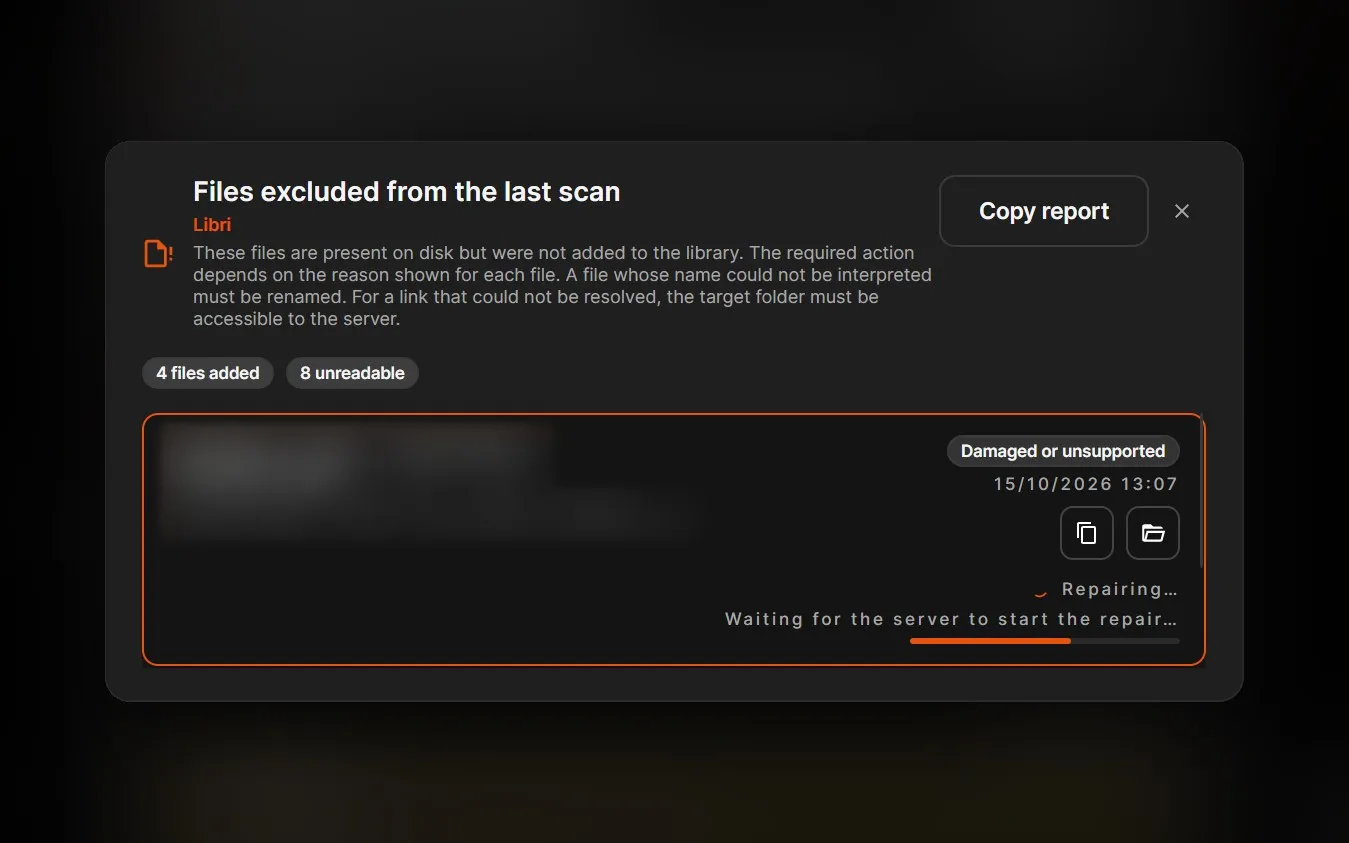 The report of files excluded from the last scan, with a damaged EPUB being repaired